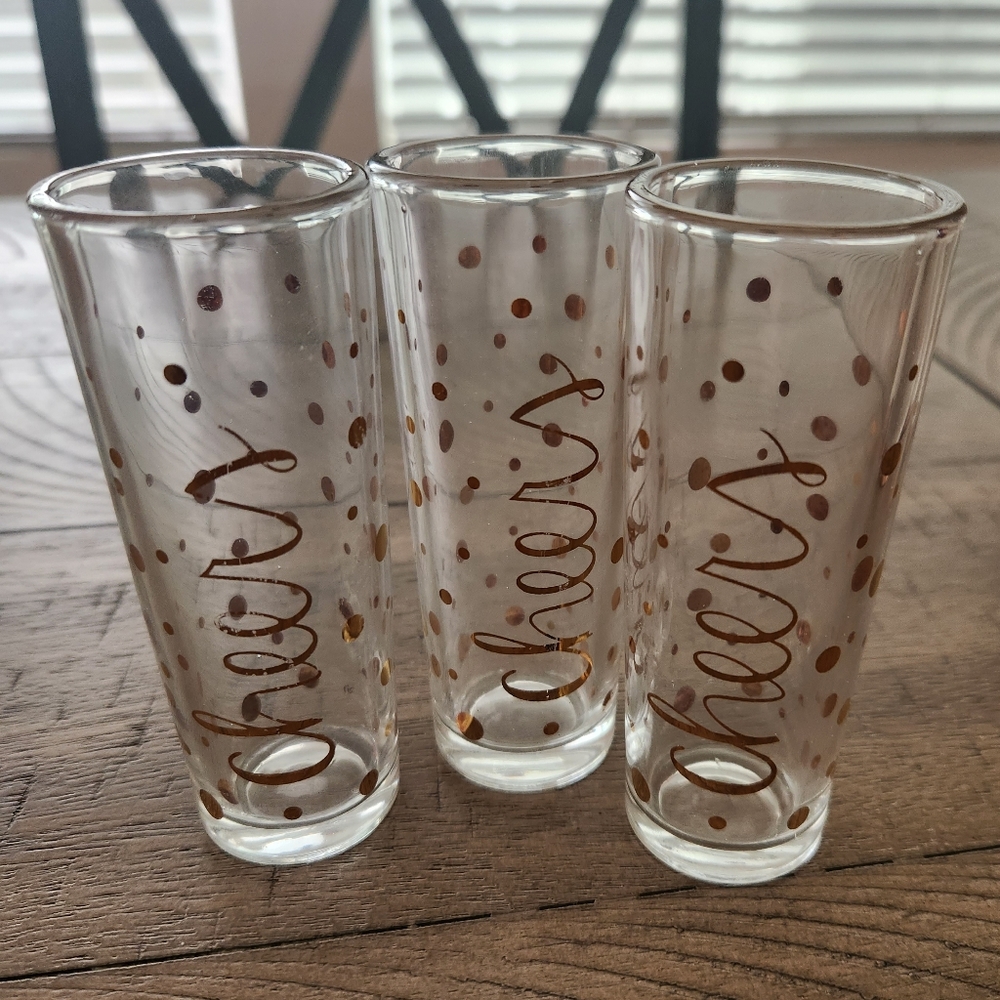 Set of 3 Shot Glasses